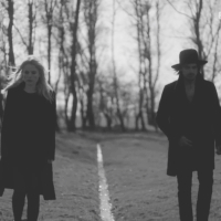 The Common Linnets (Icon)