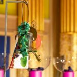 Liverpool 2023 Semi Final Allocation Draw (photo: eurovision.tv)