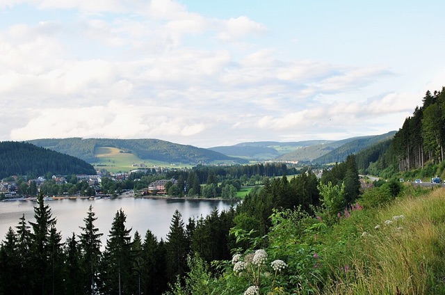 Basel Tour, The Black Forest